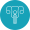 Cervical Screening (PAP smear)